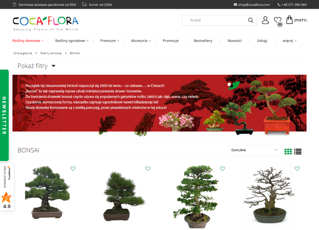 Bonsai w kulturze japońskiej – żywe dziedzictwo natury i estetyki